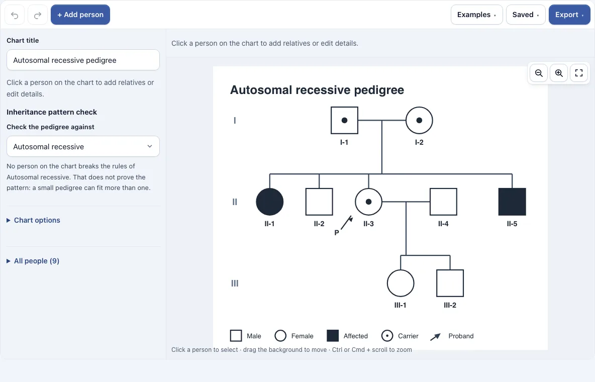 Pedigree chart maker example